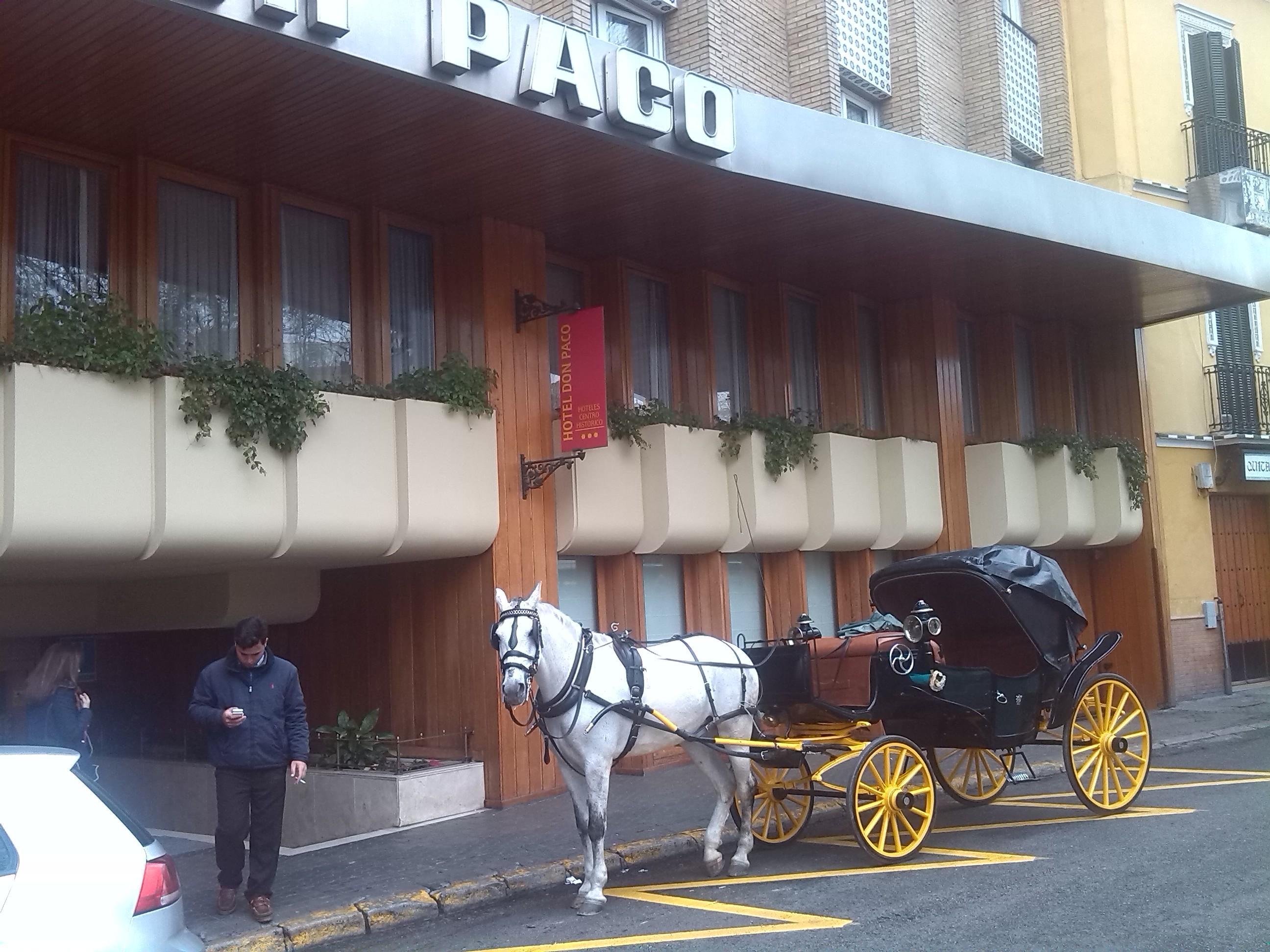 Hotel Don Paco Sevilla Eksteriør bilde